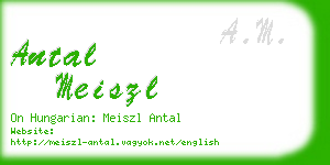 antal meiszl business card